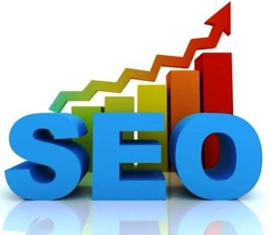 SEO services in Delhi